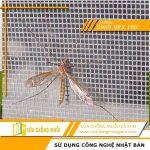 cửa lưới chống muỗi