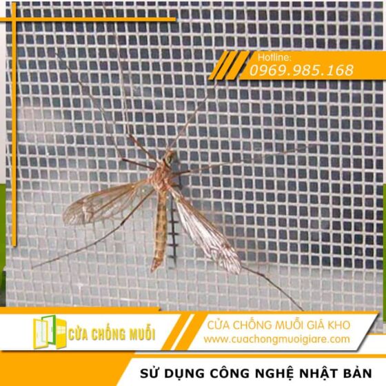 cửa lưới chống muỗi
