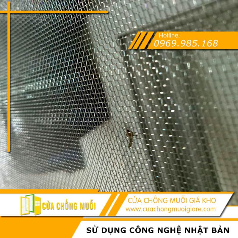 cua luoi chong muoi 13 1 Cửa chống muỗi tại Tiền Giang