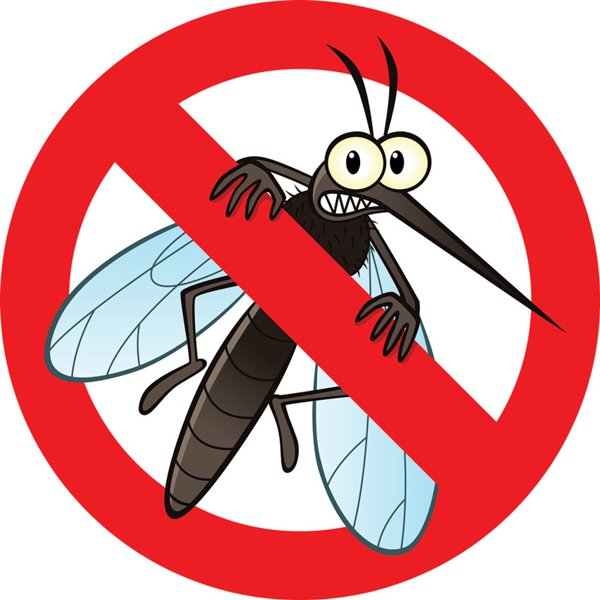 top 5 cách chống muỗi hiệu quả